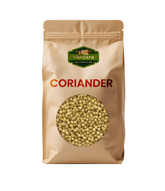 Coriander